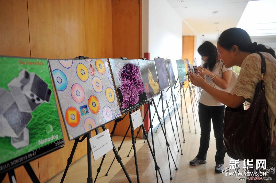 #（社會(huì)）（3）復(fù)旦大學(xué)舉行納米藝術(shù)展