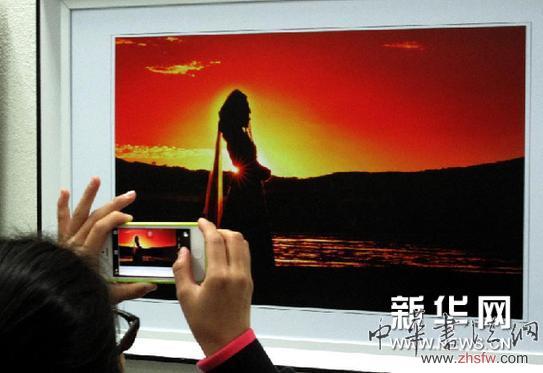 （新華網(wǎng)）（2）錫林郭勒美術(shù)書法攝影展在呼和浩特舉行