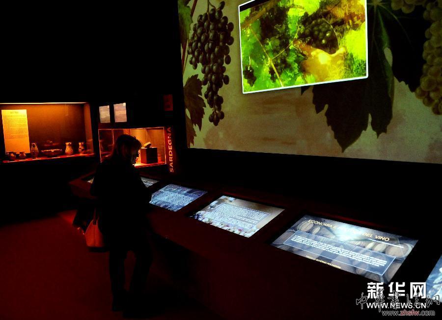 （國際）（1）意大利葡萄酒文化展在羅馬開幕