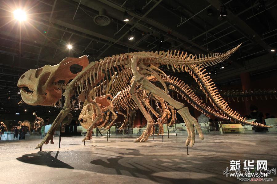 （社會）（1）&ldquo;巨龍傳奇&rdquo;展覽將在香港舉行