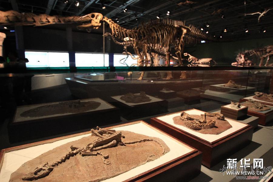 （社會）（2）&ldquo;巨龍傳奇&rdquo;展覽將在香港舉行