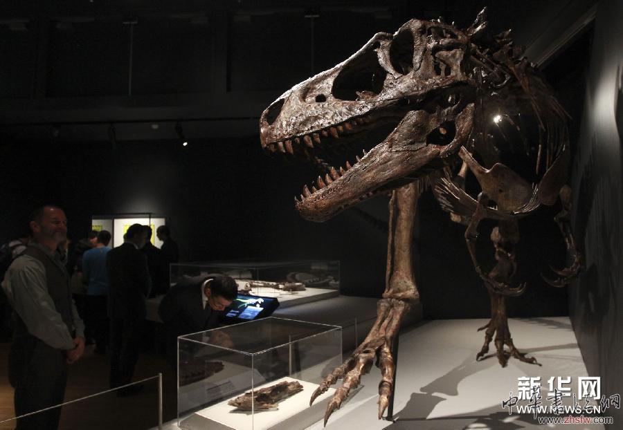（國際）（5）中國恐龍化石在悉尼展出