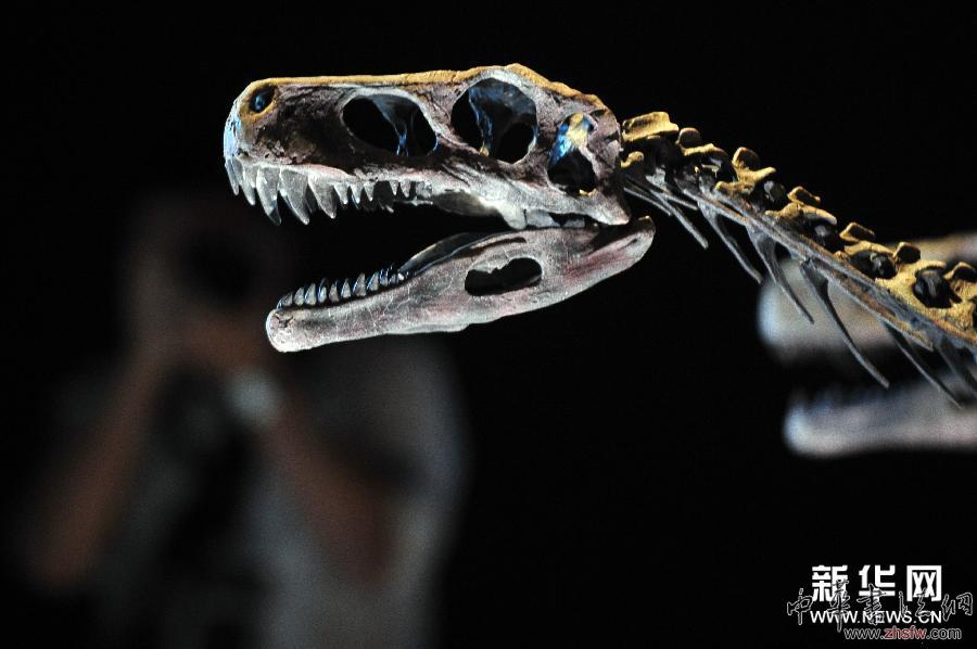 恐龍展登陸新加坡藝術(shù)科學(xué)博物館 圖 (國(guó)際)(1)恐龍展登陸新加坡藝術(shù)科學(xué)博物館