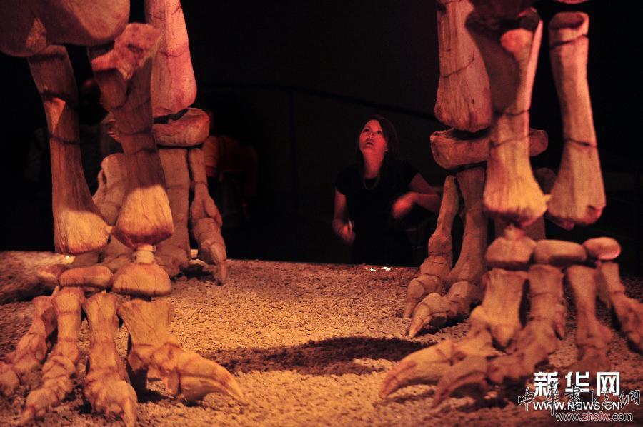 恐龍展登陸新加坡藝術(shù)科學(xué)博物館 圖 (國(guó)際)(3)恐龍展登陸新加坡藝術(shù)科學(xué)博物館