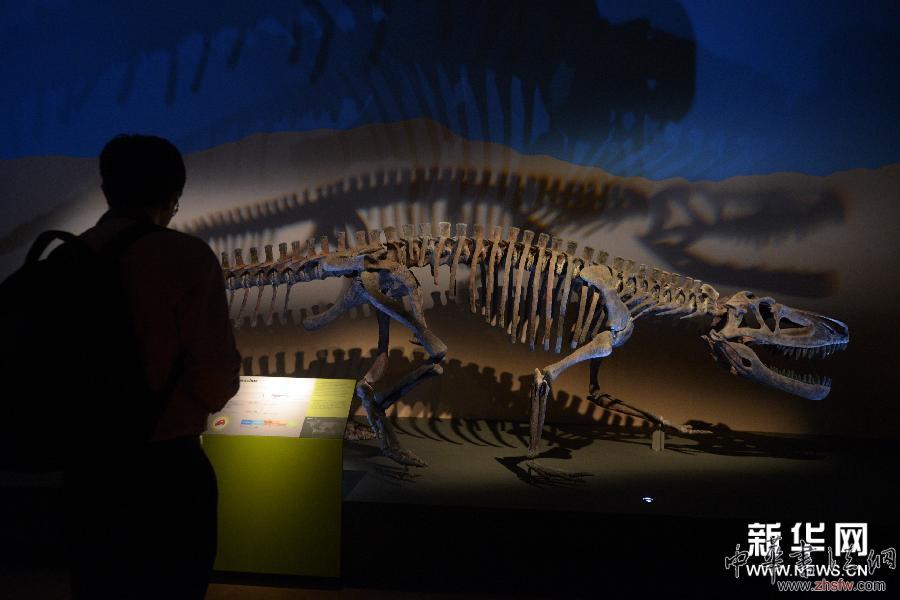 恐龍展登陸新加坡藝術(shù)科學(xué)博物館 圖 (國(guó)際)(4)恐龍展登陸新加坡藝術(shù)科學(xué)博物館