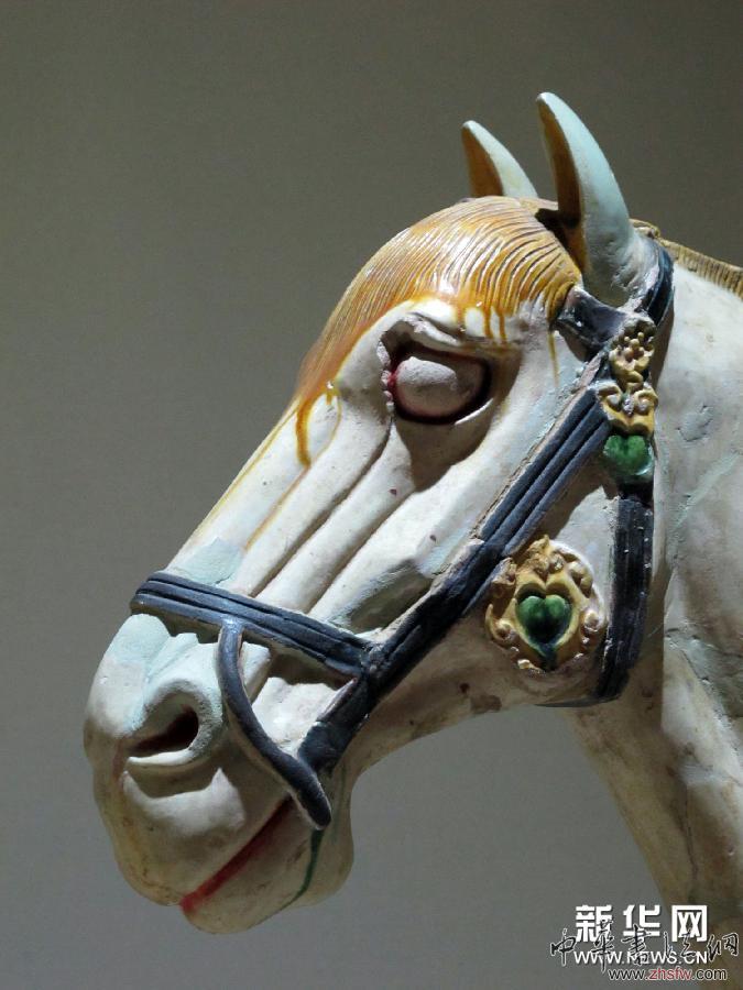 （新華網(wǎng)）（6）西安舉辦以&ldquo;驍騰萬里&rdquo;為主題的馬文化展 