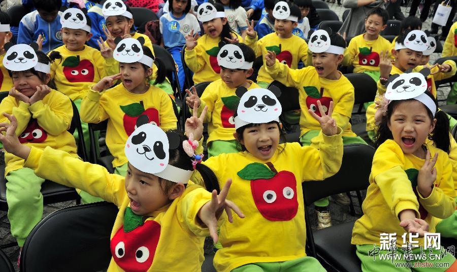 “1600熊貓世界之旅”戶外公共藝術(shù)展亮相臺北 圖