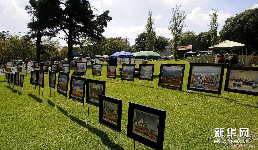 （國際）（1）南非的公園繪畫展