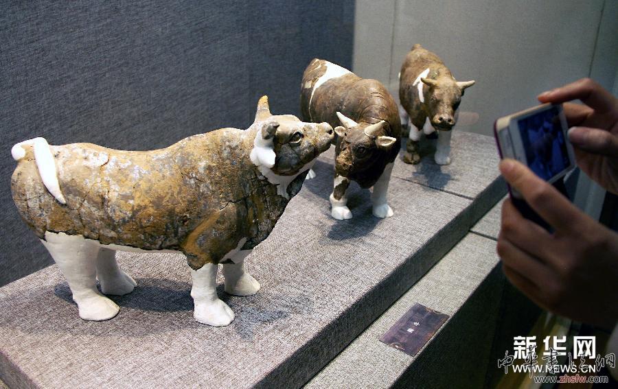 隋煬帝墓出土文物特展在揚(yáng)州開(kāi)展 組圖