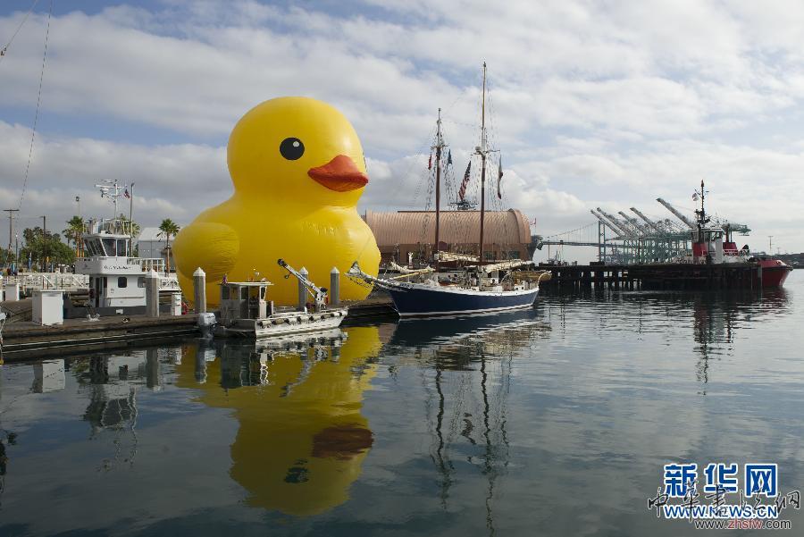 （國際）（1）大黃鴨現(xiàn)身洛杉磯