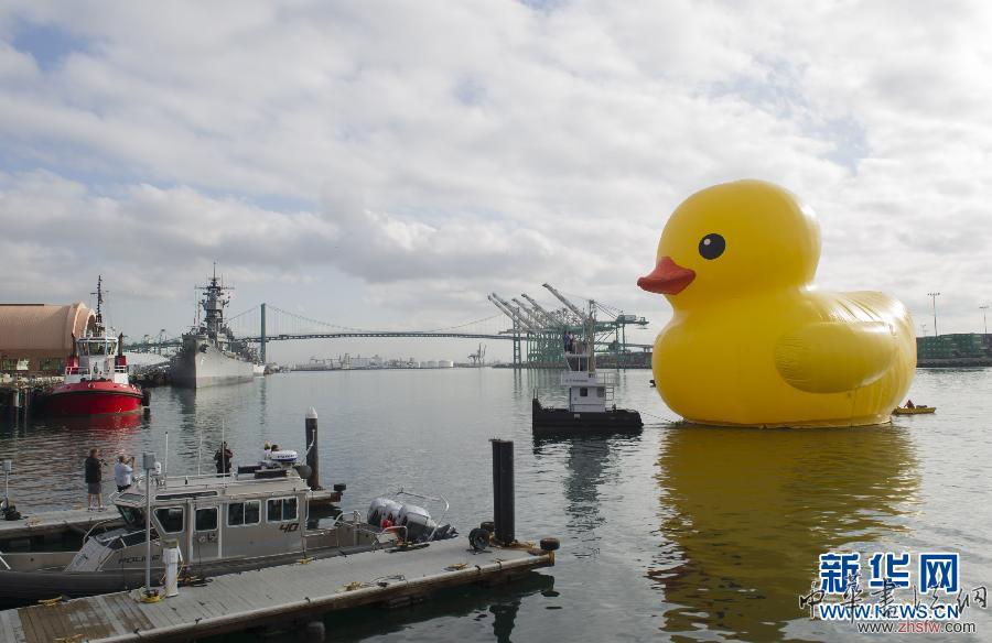 （國際）（4）大黃鴨現(xiàn)身洛杉磯