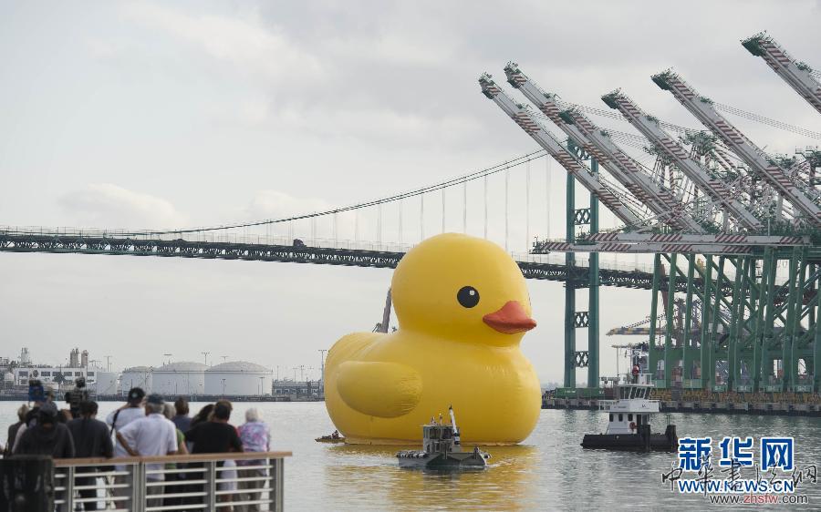 （國際）（2）大黃鴨現(xiàn)身洛杉磯