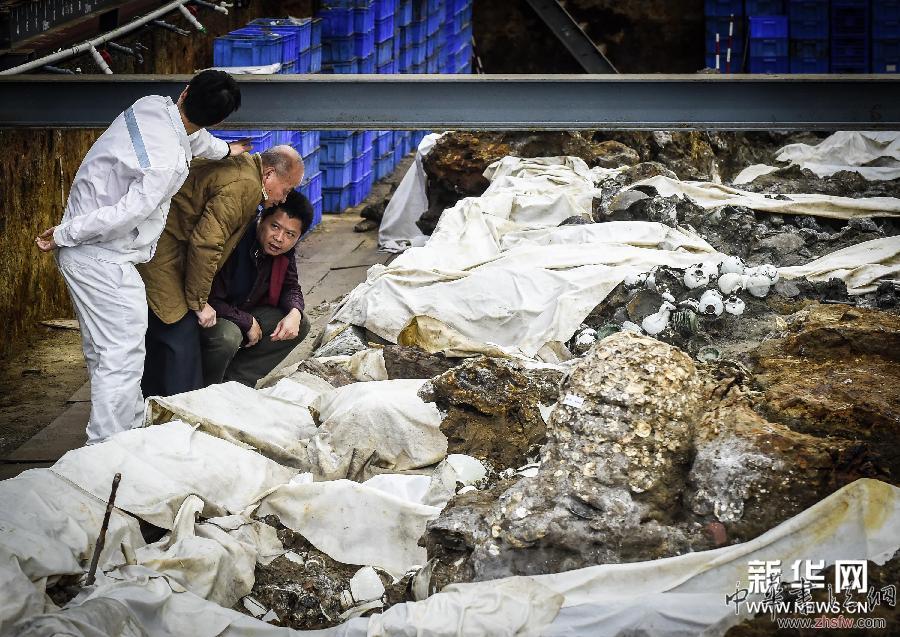 （城鄉(xiāng)熱點(diǎn)）（1）&ldquo;南海一號(hào)&rdquo;海量宋瓷重見天光