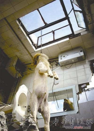 按此在新窗口瀏覽圖片