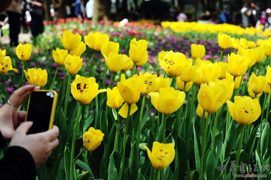 “到此一游”意義何在？追問那些令人慚愧的涂鴉