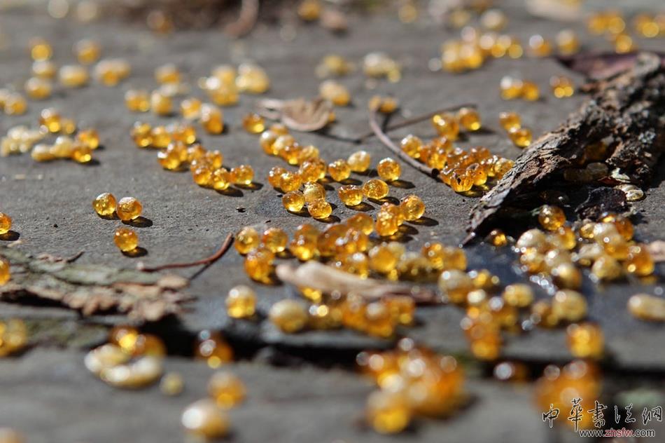 《國家地理旅行者》影賽優(yōu)秀作品