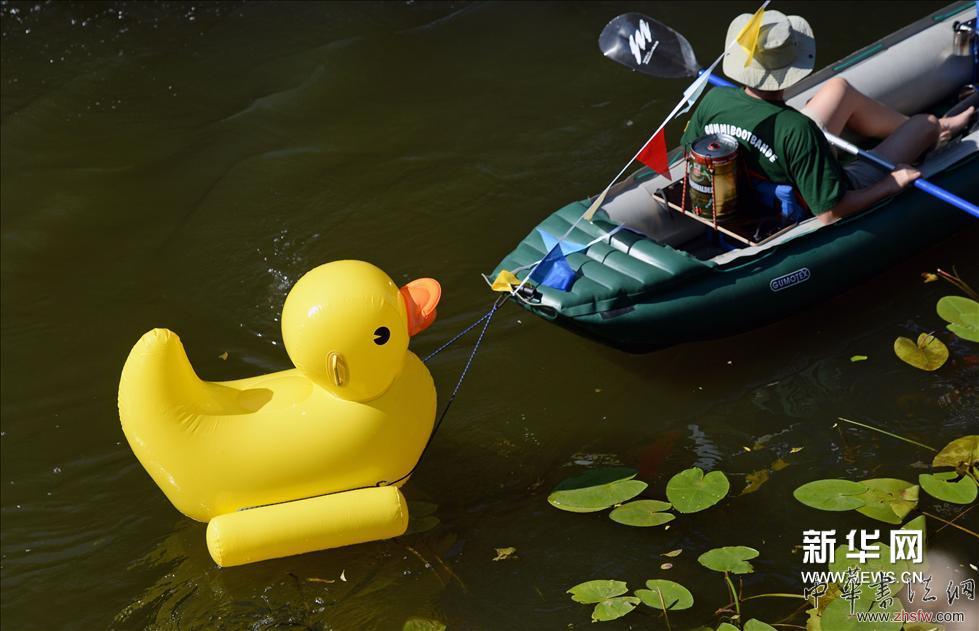 （7）2013年8月17日，在德國萊比錫，一名男子劃船拖著一只縮小版的“大黃鴨”。 新華社/法新（張帆編輯）