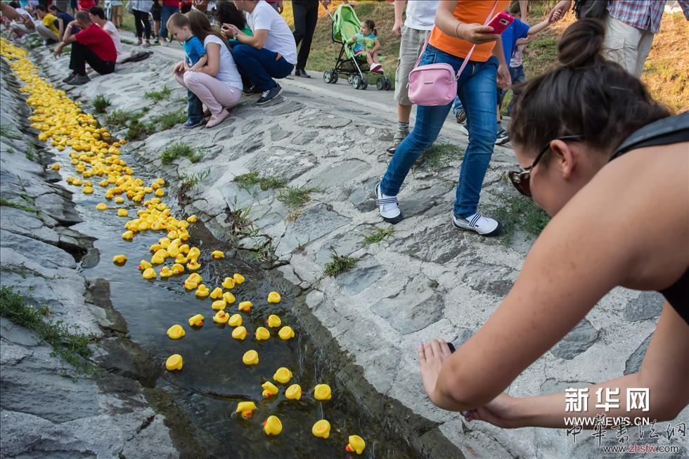 （8）2013年8月31日，在匈牙利圣安德烈市，人們在“大黃鴨漂流賽”中向小溪里放置“鴨子”。 新華網(wǎng)圖片 弗爾季·奧蒂洛 攝（張帆編輯）