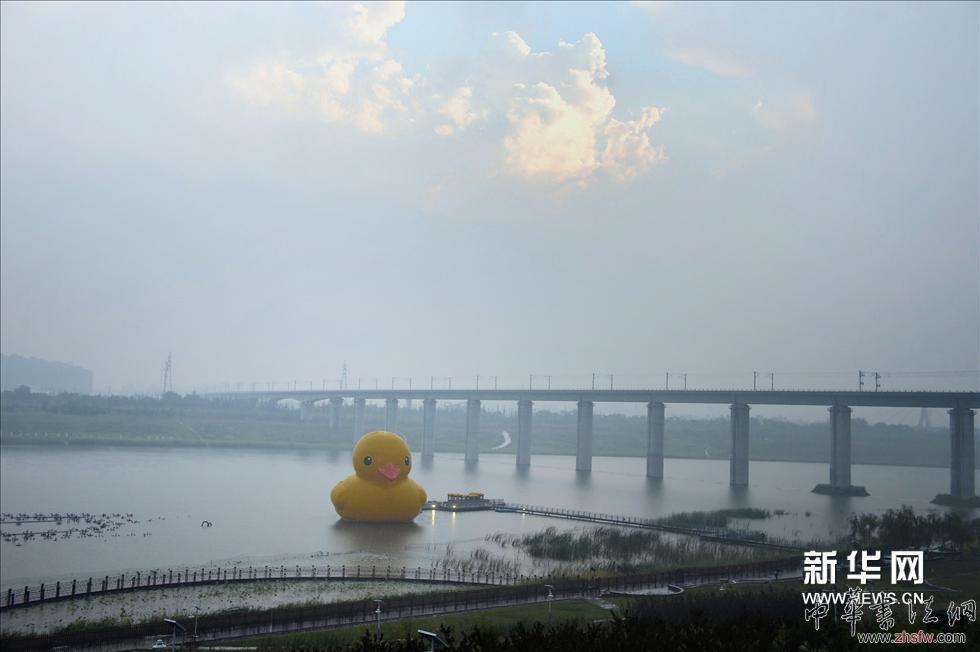 （2）9月6日，大黃鴨正式亮相園博園，開啟首次京城之旅。新華網(wǎng)圖片 李鑫 攝