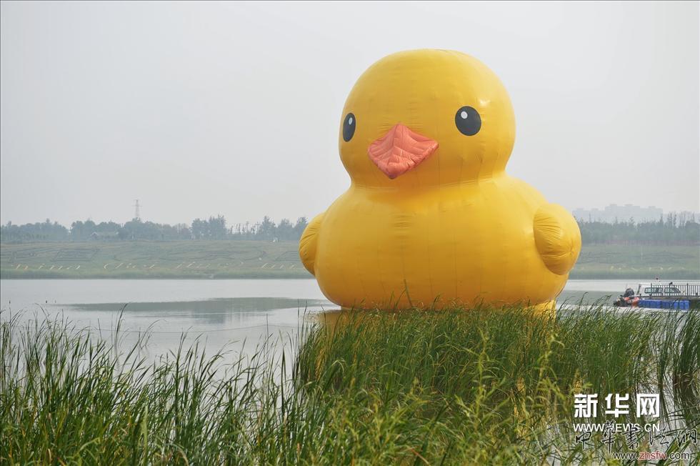 （5）9月6日，大黃鴨正式亮相園博園，開啟首次京城之旅。新華網(wǎng)圖片 李鑫 攝