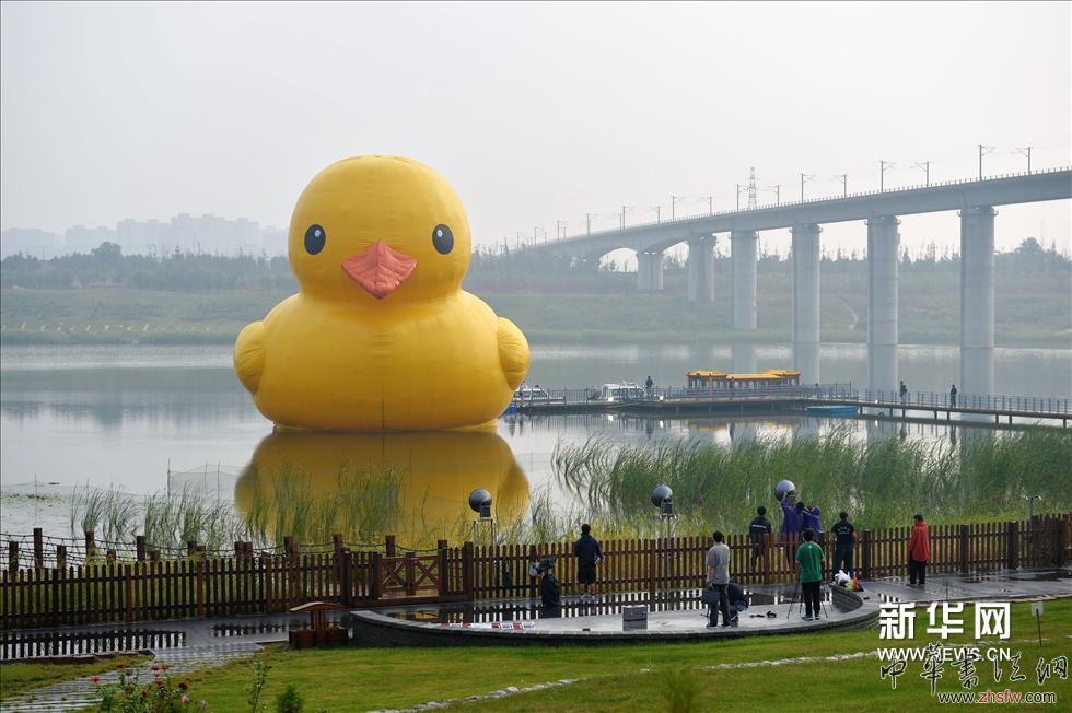 （6）9月6日，大黃鴨正式亮相園博園，開(kāi)啟首次京城之旅。新華網(wǎng)圖片 李鑫 攝