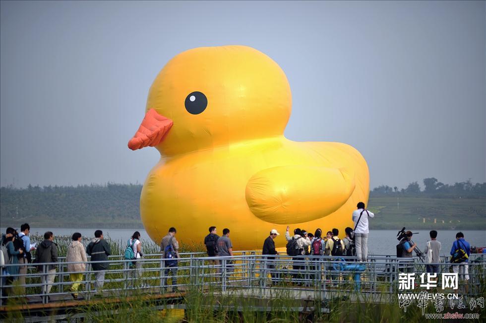 （8）9月6日，大黃鴨正式亮相園博園，開啟首次京城之旅。新華網(wǎng)圖片 李鑫 攝