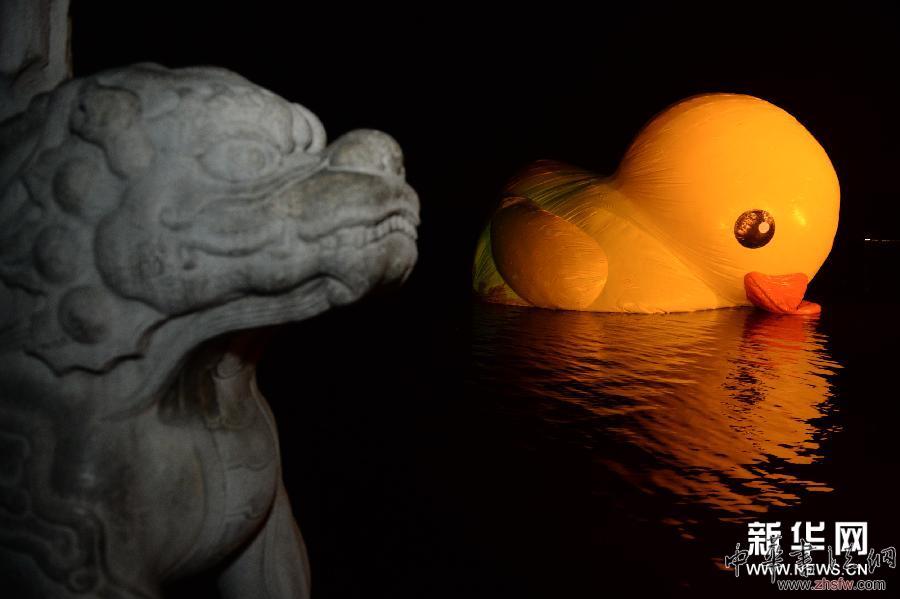 （晚報）（2）大黃鴨&ldquo;移居&rdquo;頤和園