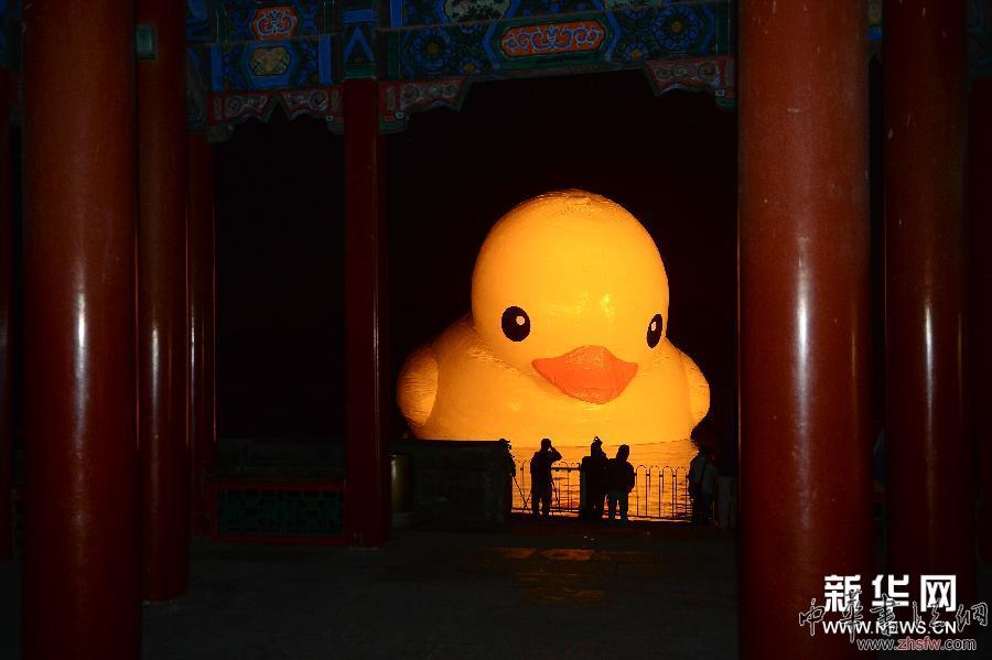 （晚報(bào)）（3）大黃鴨&ldquo;移居&rdquo;頤和園