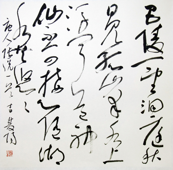 李雙陽  行走在儒雅與奔放之間