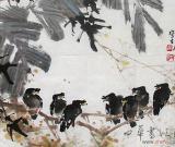 蜀中劉八哥之不同情態(tài)八哥欣賞(一)