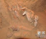 唐代“女宰相”上官婉兒墓沒見棺槨疑遭“官毀”