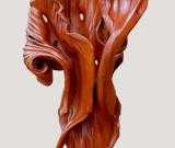 查爾斯?昌巴塔：植物的樂章