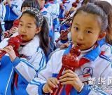 民族樂器進學(xué)校 圖