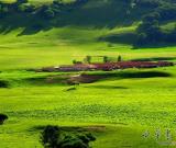 第七屆中國內(nèi)蒙古草原文化節(jié)在呼和浩特舉行