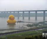 大黃鴨正式亮相園博園 開(kāi)啟首次京城之旅