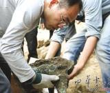 甌海出土商周文物