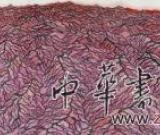 姜寶林藝術(shù)展震撼亮相