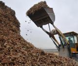 秸稈是個(gè)寶　綜合利用效益高