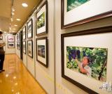 “井岡山風(fēng)光攝影展”在澳門舉行 圖