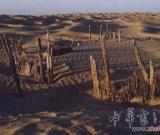 新疆和田策勒縣發(fā)現(xiàn)古代于闐佛國遺存