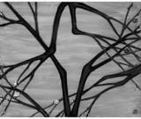 2014春拍蓄勢待發(fā) 藝術品市場亮點幾何