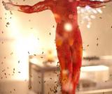 四萬只蜜蜂創(chuàng)作耶穌雕像