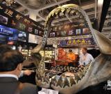 全球罕見礦物化石寶石薈萃長沙 組圖