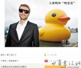 8成網(wǎng)友認為大黃鴨應(yīng)該免費展示