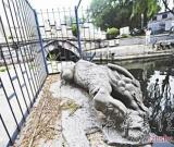 大運(yùn)河38處遺產(chǎn)點(diǎn)有望繼續(xù)申遺