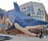 巨型鯊魚雕塑引游人