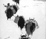 秋拍勾起24年前十幅名畫被盜懸案