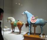 西安舉辦以“驍騰萬(wàn)里”為主題的馬文化展 圖