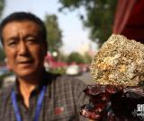 特色石頭亮相中國(guó)（沈陽(yáng)）古玩藝術(shù)品博覽會(huì)