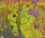 另眼看地球：如夢(mèng)如幻的自然美術(shù)(組圖)